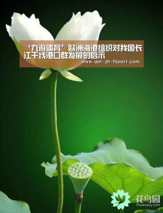‘九游体育’欧洲海港组织对我国长江干线港口群发展的启示(图2) 九游体育