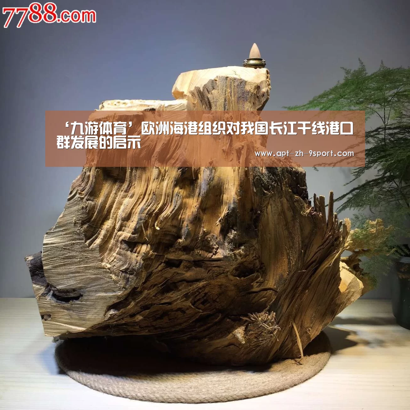 ‘九游体育’欧洲海港组织对我国长江干线港口群发展的启示(图3) 九游体育