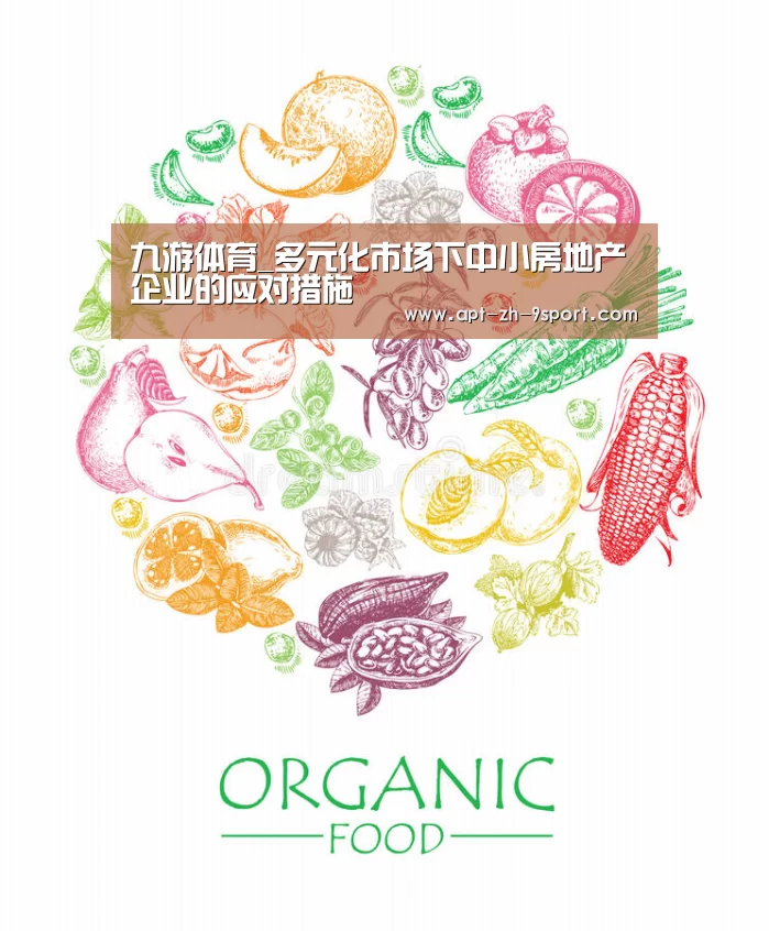 九游体育_多元化市场下中小房地产企业的应对措施(图3) 九游体育