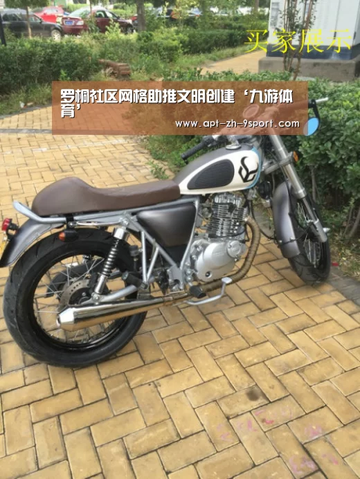 罗桐社区网格助推文明创建‘九游体育’(图2) 九游体育