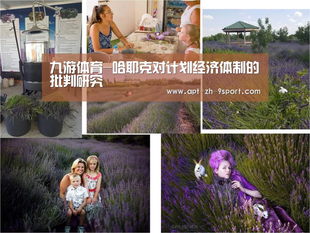 九游体育-哈耶克对计划经济体制的批判研究(图1) 九游体育