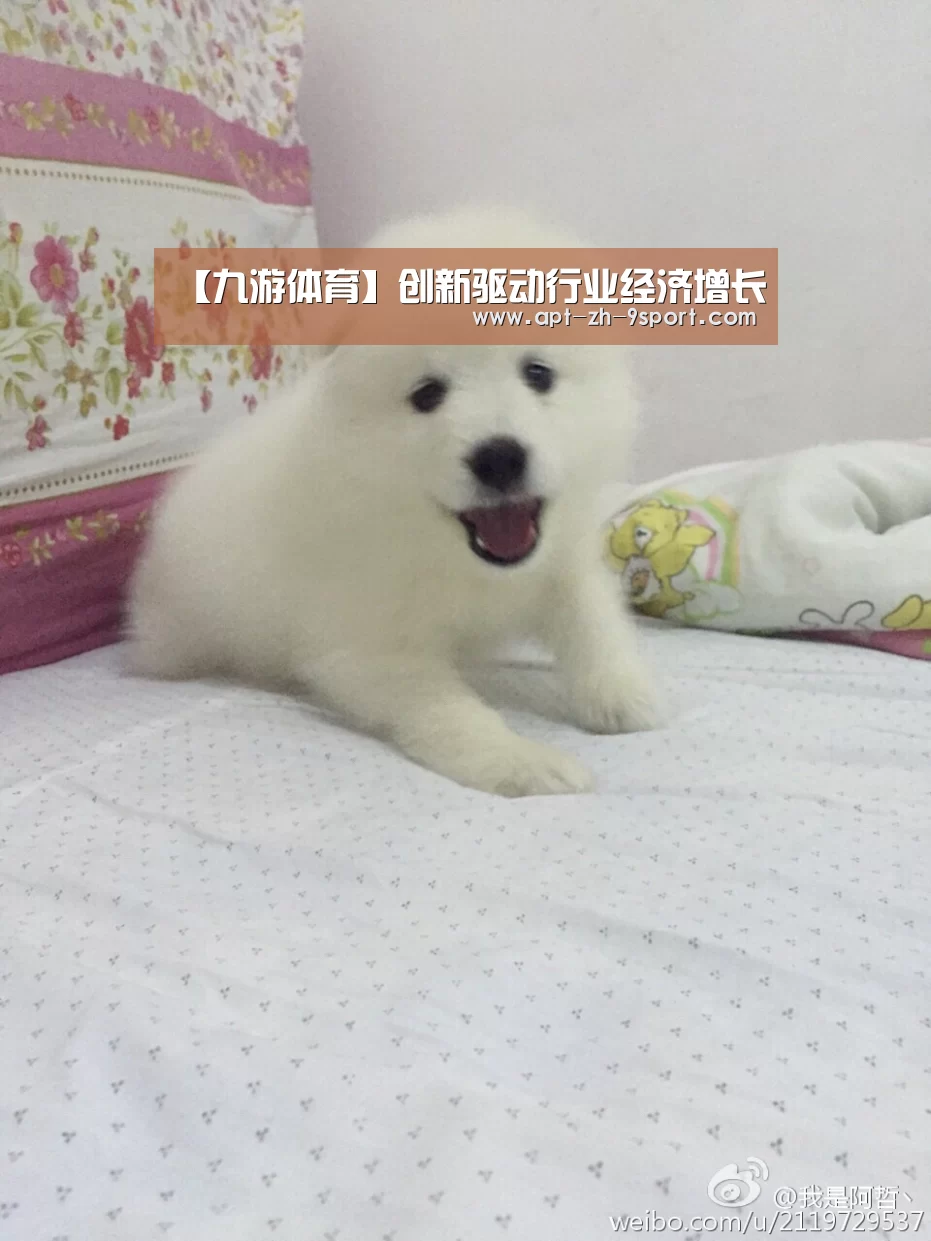 【九游体育】创新驱动行业经济增长(图2) 九游体育