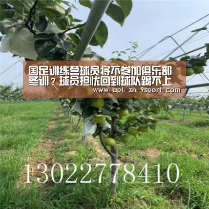 国足训练营球员将不参加俱乐部冬训?球员担忧回到球队踢不上球“九游体育”(图2) 九游体育