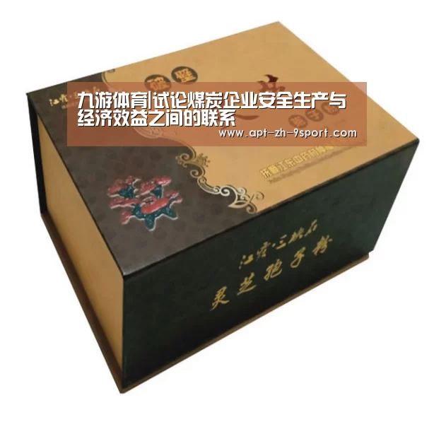 九游体育|试论煤炭企业安全生产与经济效益之间的联系(图3) 九游体育