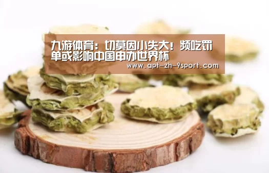 九游体育:切莫因小失大!频吃罚单或影响中国申办世界杯(图3) 九游体育