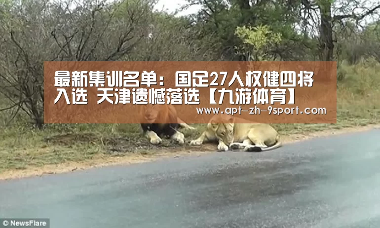 最新集训名单:国足27人权健四将入选 天津遗憾落选【九游体育】(图1) 九游体育