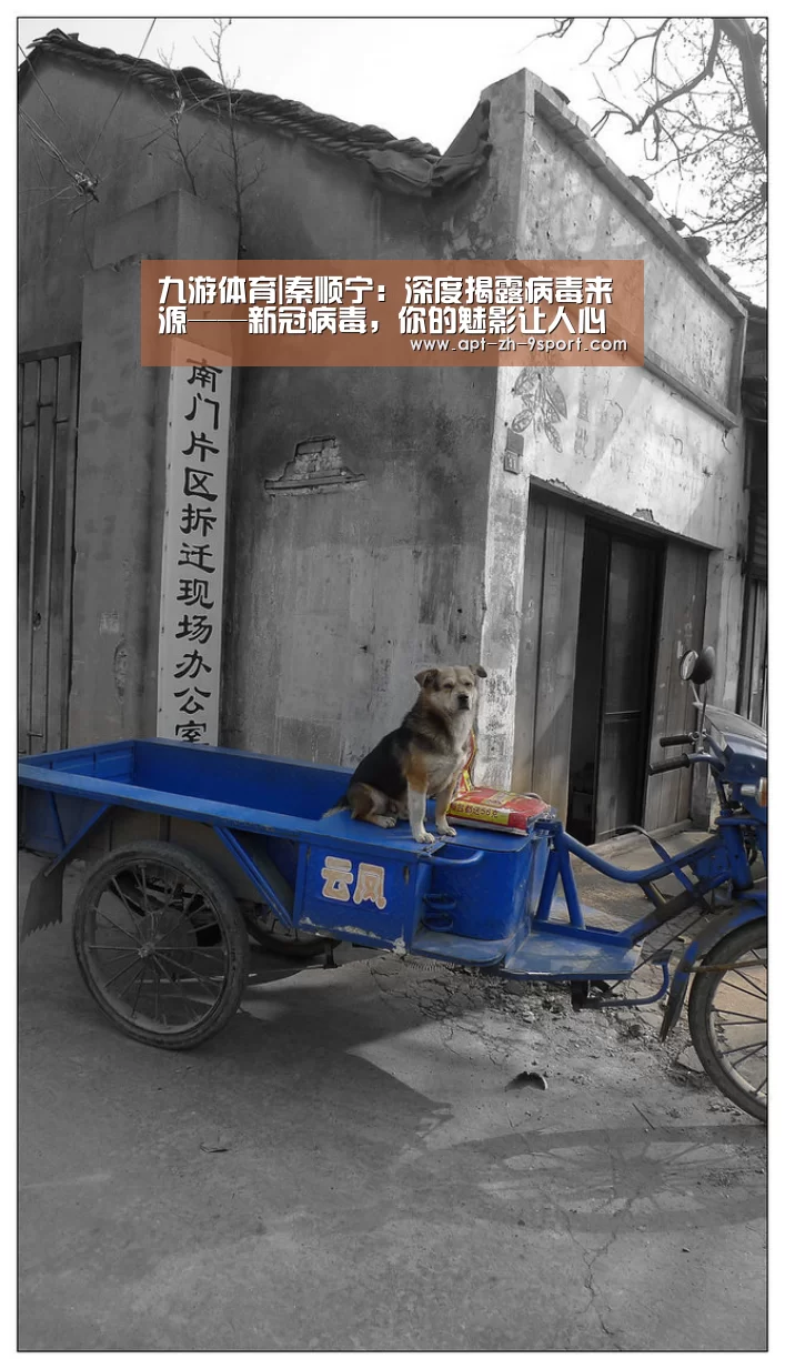九游体育|秦顺宁:深度揭露病毒来源——新冠病毒,你的魅影让人心跳!(图1) 九游体育